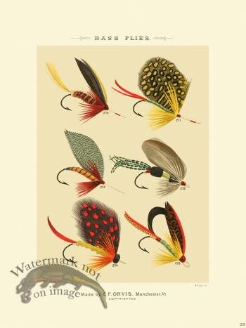 Favorite Flies 29 Bass